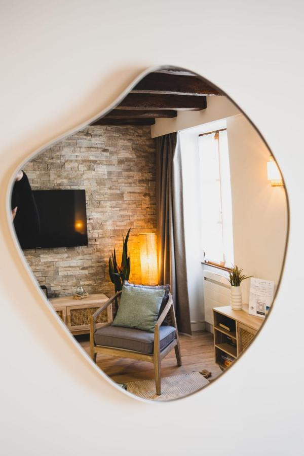 Le Grenette - Appartement Pour 2 A 4 Personnes En Plein Coeur D'Annecy Buitenkant foto